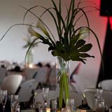 Lily Center Piece
