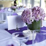 Wedding Reception