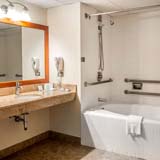 Handicap Suite Bathroom